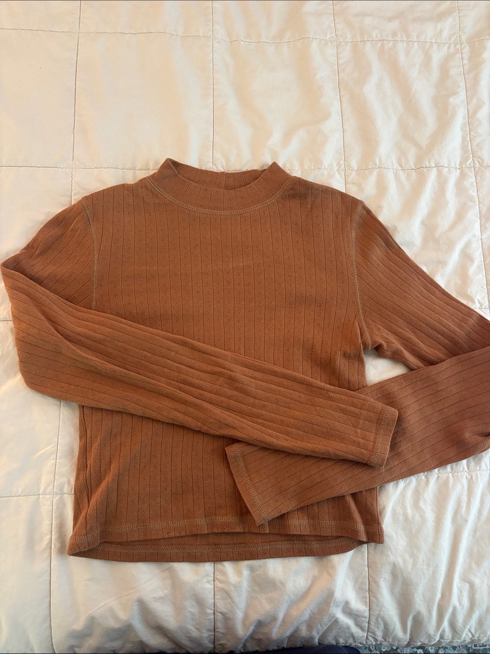 Women's Long-Sleeve Cropped Ribbed Knit Top — Brown
